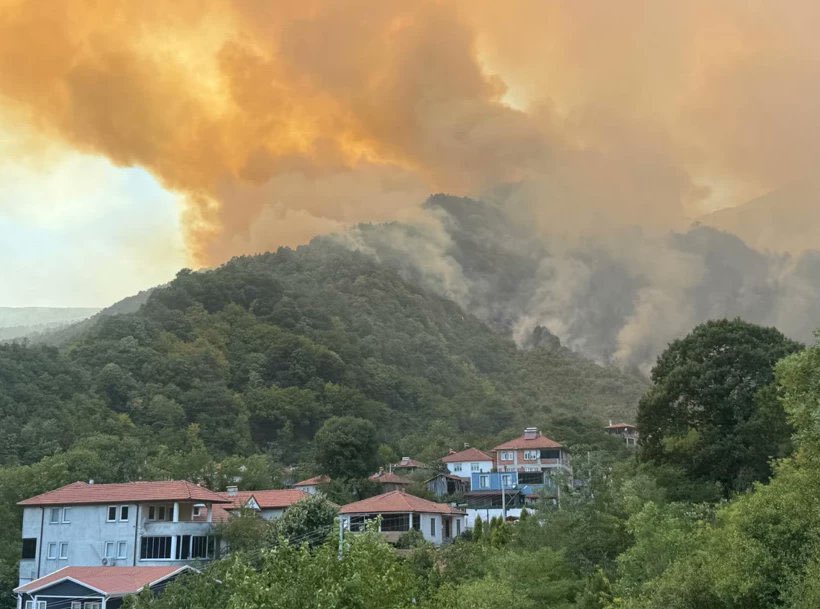 Son günlerde şehrimizde art arda meydana gelen orman yangınları hepimizi derinden üzmektedir. 

Son olarak Geyve ilçemizin Doğançay ve Nuruosmaniye bölgelerinde çıkan yangınlara müdahale eden ekiplerimize kolaylıklar diliyor, yangının en kısa sürede kontrol altına alınmasını
