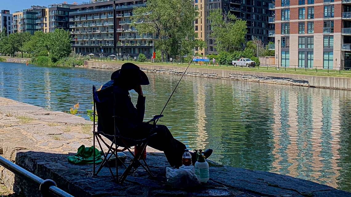 mtlgazette's tweet image. Montreal weather: Pleasant summer day makes way for another loathsome heat warning montrealgazette.com/news/weather-n…