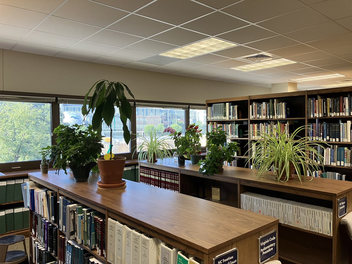 NCGA_Avocado's tweet photo. The library jungle. You can never have enough plants. https://t.co/h5RT4I0Gsn