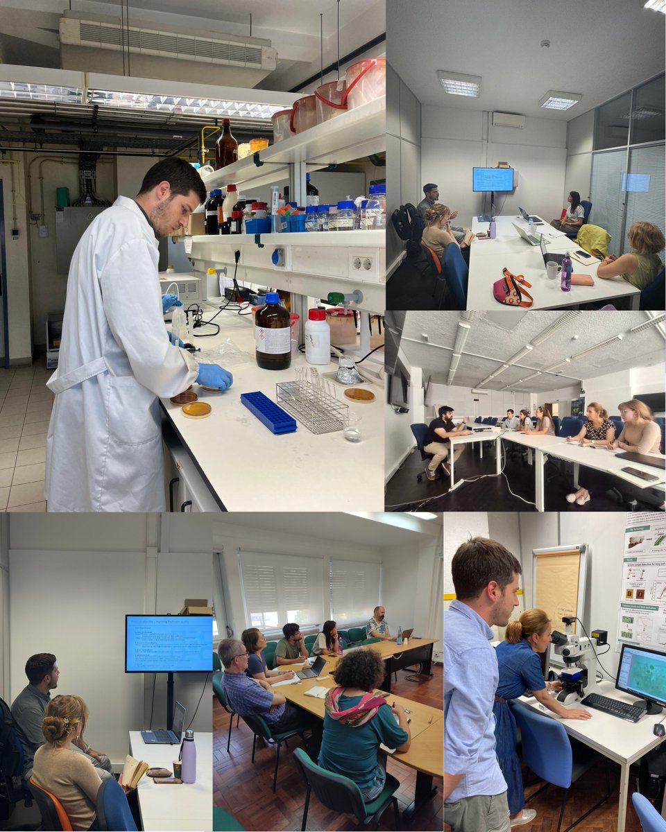 Another secondment update!

Dr. Petar Davidovic from the University of Novi Sad, Faculty of Sciences has just finished his #IPANEMA2020 secondment at <a href="/2mPharma/">2MPharma</a> , where he worked on developing molecular tools to detect toxin-producing cyanobacteria.

#algalblooms #cyanobacteries