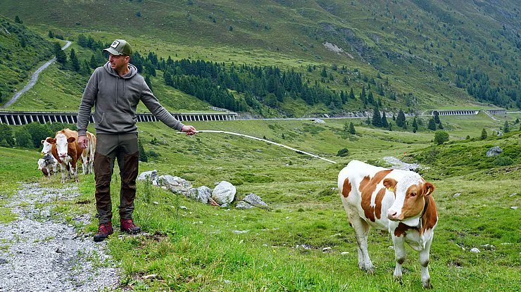 Ein Weidetier ist kein Selfie-Partner und die Alm kein Streichelzoo: #LandTirol und LK Tirol sensibilisieren erneut für achtsamen Umgang im Weidebereich mit Verhaltensregeln beim Aufeinandertreffen von Mensch und Tier #inTirol tirol.gv.at/presse/meldung…