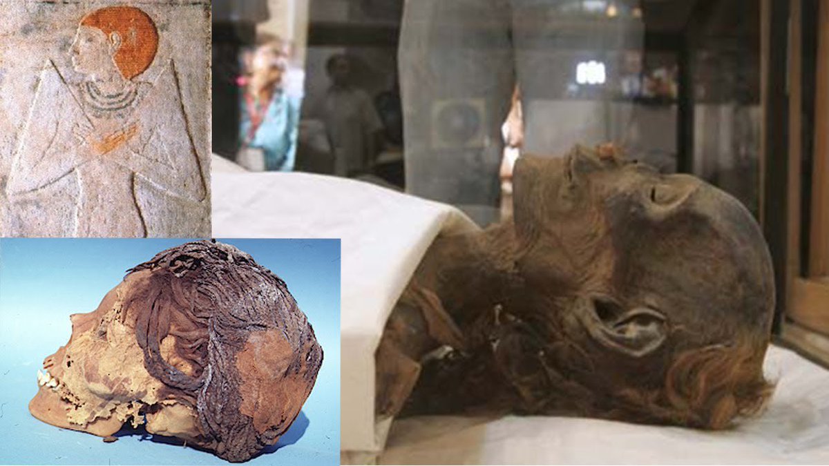 Jakeesposito22's tweet image. Many of the ancient Egyptians had ginger hair including “Gebelein Man” the first predynastic mummy ever found, Queen Meresankh III, Queen Tiye &amp;amp; Pharaoh Ramesses II. So ancient Egyptians did not look like Sub-Saharan Africans, they looked like Irish people.