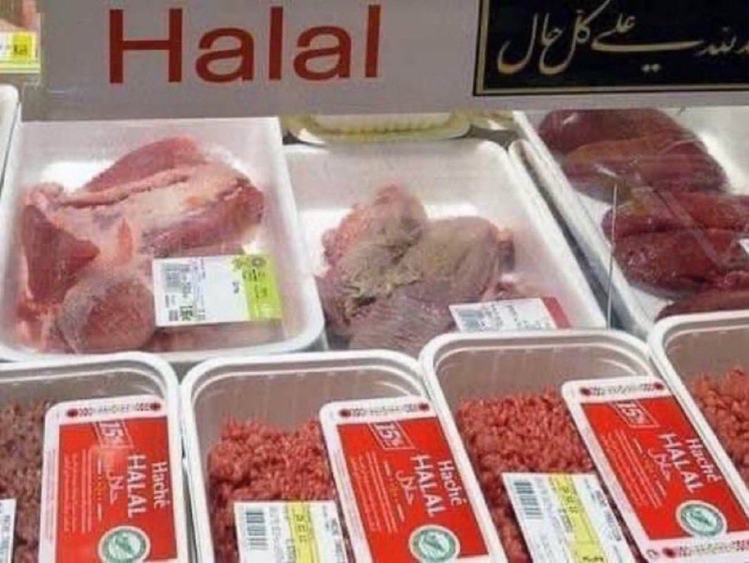Mofoman360's tweet image. Do you think Halal meat should be banned WORLDWIDE
Yes or No? @RupertLowe10