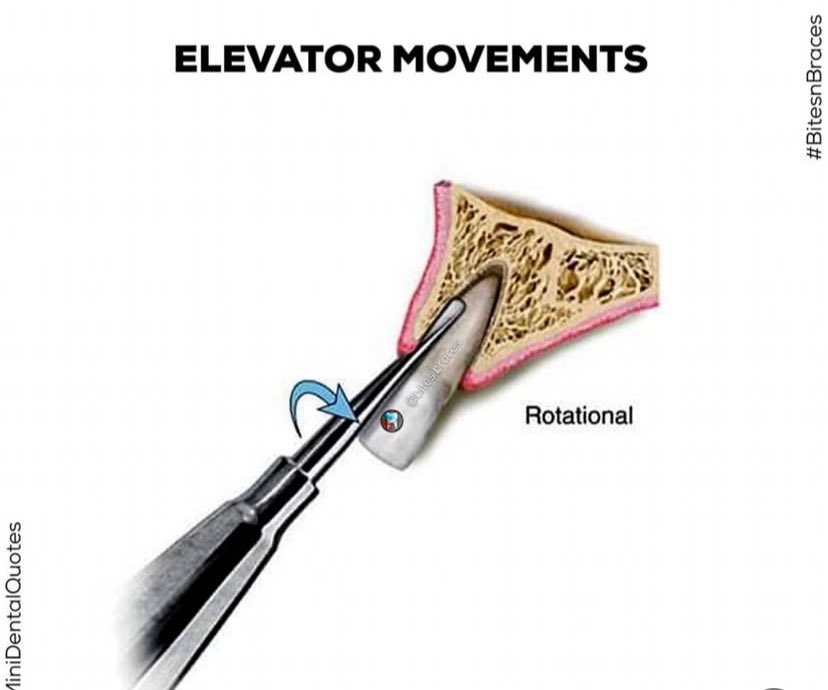Dr.Doaa🧠🦷🇵🇸 tweet media