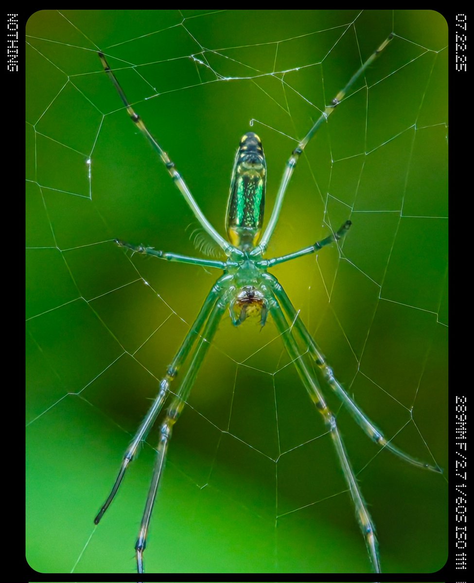 Ajeesh021997's tweet image. Beyond Perception: The Telemacro Canvas with @nothing (3)
#WithNothing #nothingphone3
#ShotOnSnapdragon @Snapdragon @nothingindia
@AkisEvangelidis @getpeid @Technerd_9