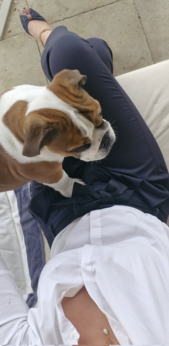 Il a fusillé ma chemise. 
Et vous savez quoi? Je m'en fiche. Il est trop craquant 🥰