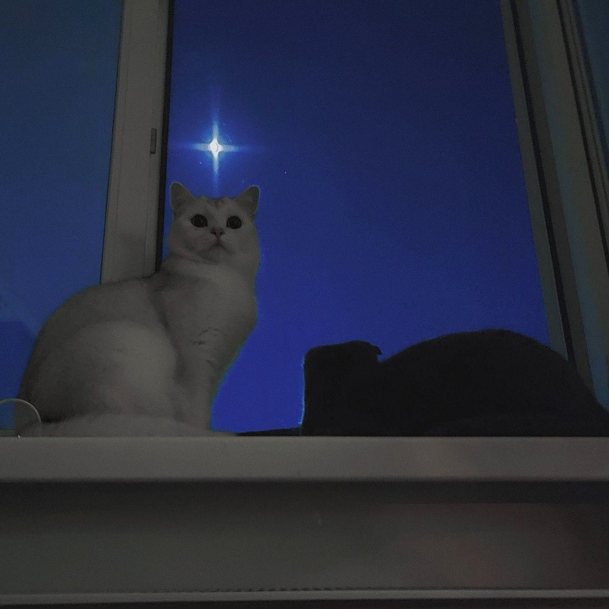 .    *     .       *    .🌙      *    .  *            ☄️.    *      *    .      🪐*      .     .    *   ✨ *    .      *      .     .  *.       🌌
    *    .  *     🚀       .    *         *    .  *     🌕  .    *     *    .  *          .    *✧     *    .  *