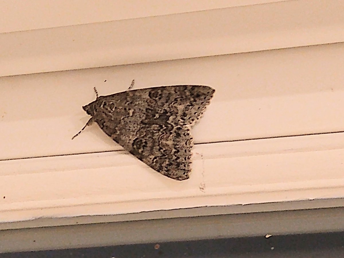 Penny Woods tweet media