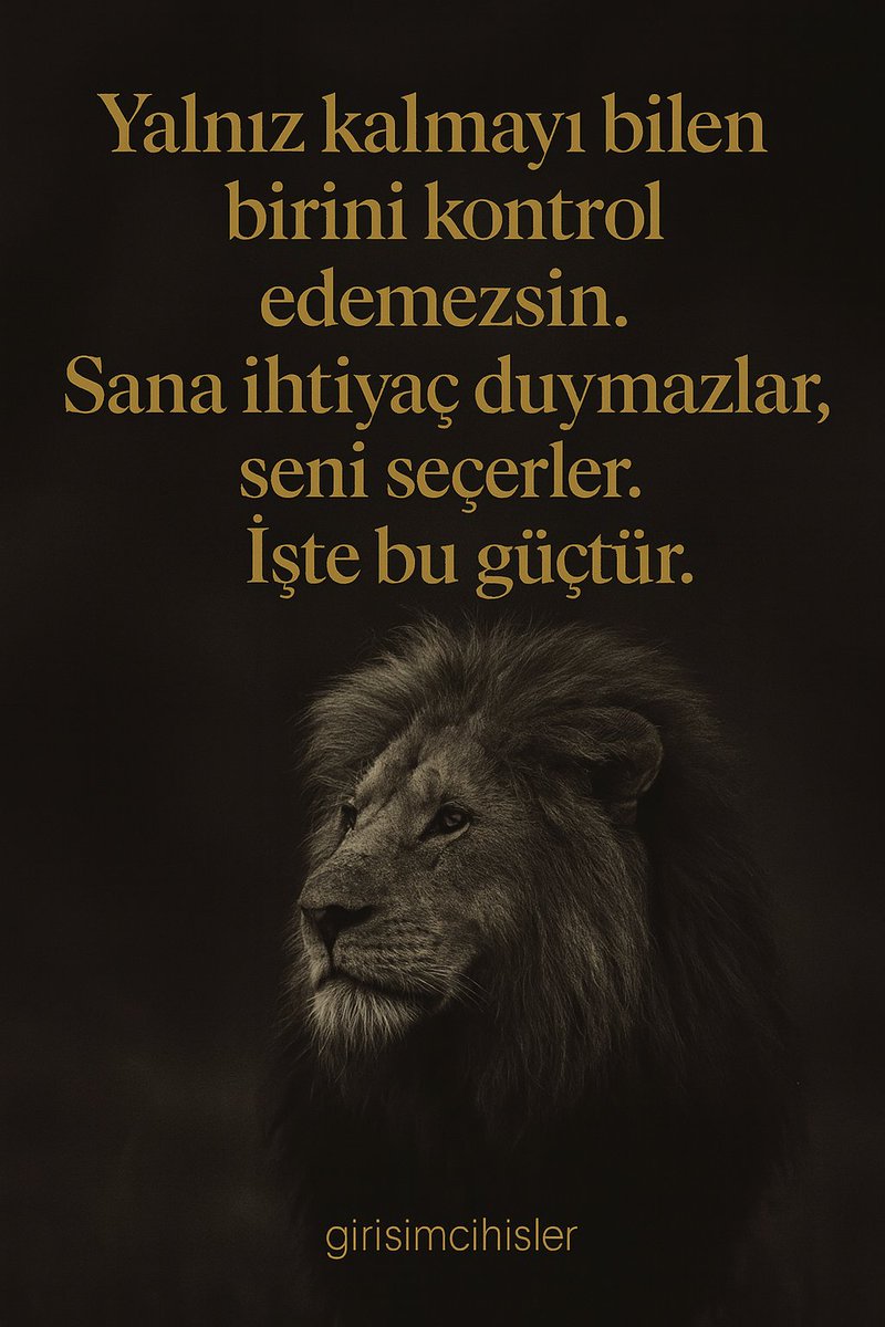 Girişimci Hisler (@girisimcihisler) on Twitter photo 