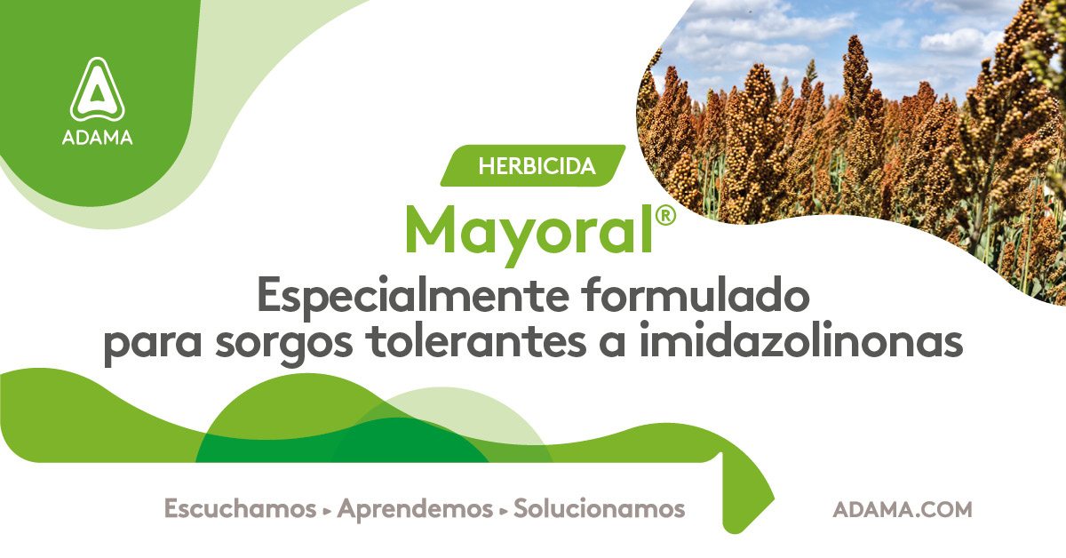 ✅ Mayoral controla eficazmente las malezas más problemáticas en los sorgos tolerantes a las imidazolinonas. 
📍 Esta solución asegura lotes más limpios en post cosecha, permitiendo entrar al siguiente cultivo con un menor costo de barbecho y liberando todo el potencial del
