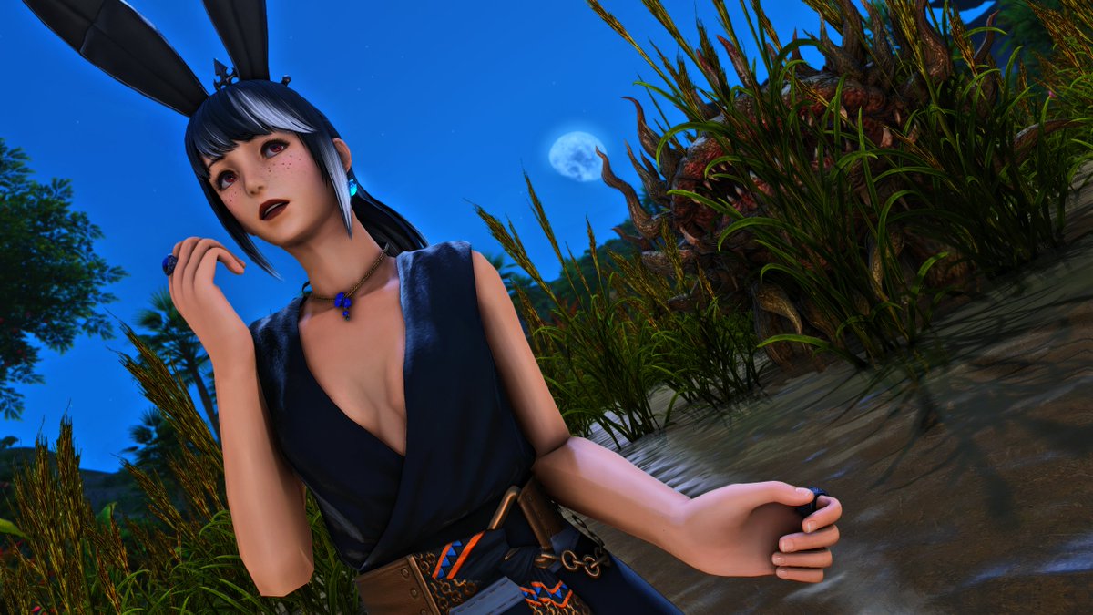 NovaFunBun's tweet image. Danger lurks.

(it&apos;s the rabbit, she&apos;s the danger)