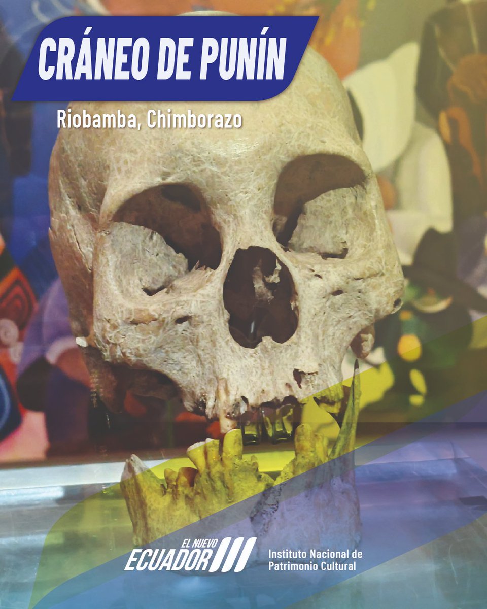 INPC Ecuador (@inpcecuador) on Twitter photo El Cráneo de Punín: el rostro más antiguo del Ecuador, no solo es una reliquia arqueológica, sino un testimonio de nuestras raíces más profundas, de los pueblos originarios que habitaron estas tierras miles de años antes que cualquier civilización moderna.
<a href="/Cultura_Ec/">Ministerio de Cultura y Patrimonio 🇪🇨</a> El Cráneo de Punín: el rostro más antiguo del Ecuador, no solo es una reliquia arqueológica, sino un testimonio de nuestras raíces más profundas, de los pueblos originarios que habitaron estas tierras miles de años antes que cualquier civilización moderna.
<a href="/Cultura_Ec/">Ministerio de Cultura y Patrimonio 🇪🇨</a>