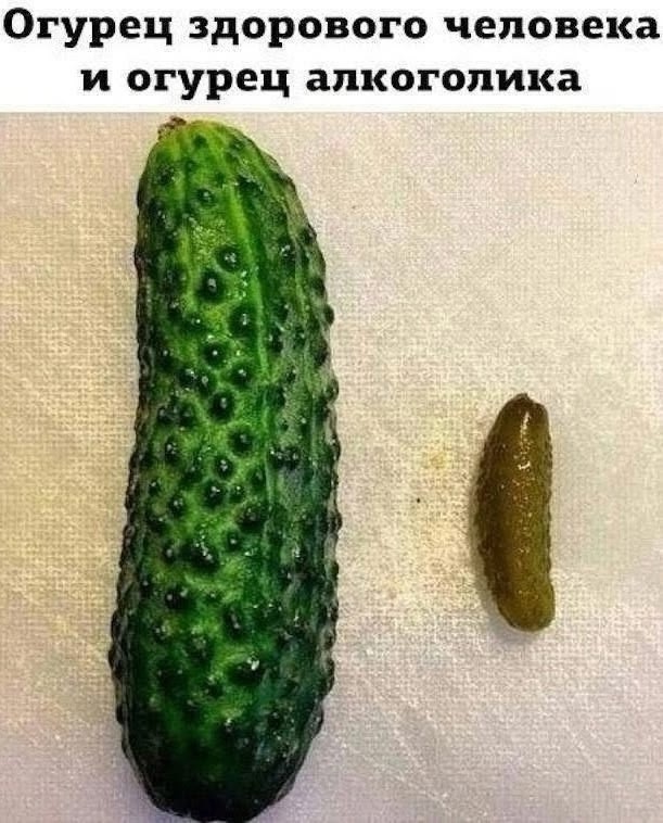 Пьяный Твиттер (@drunktwi) on Twitter photo 