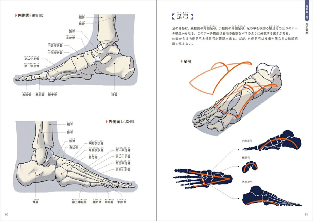 otaINF0's tweet image. 『手+足の美術解剖学|電子書籍』
アーティストたちが表現を習得するまでに苦労することの多い「手」と「足」 にスポットを当てた美術解剖学の教科書。
▼7/27まで50%OFFキャンペーン中(2750円→1375円)
goodslog.blog.shinobi.jp/Entry/11926/