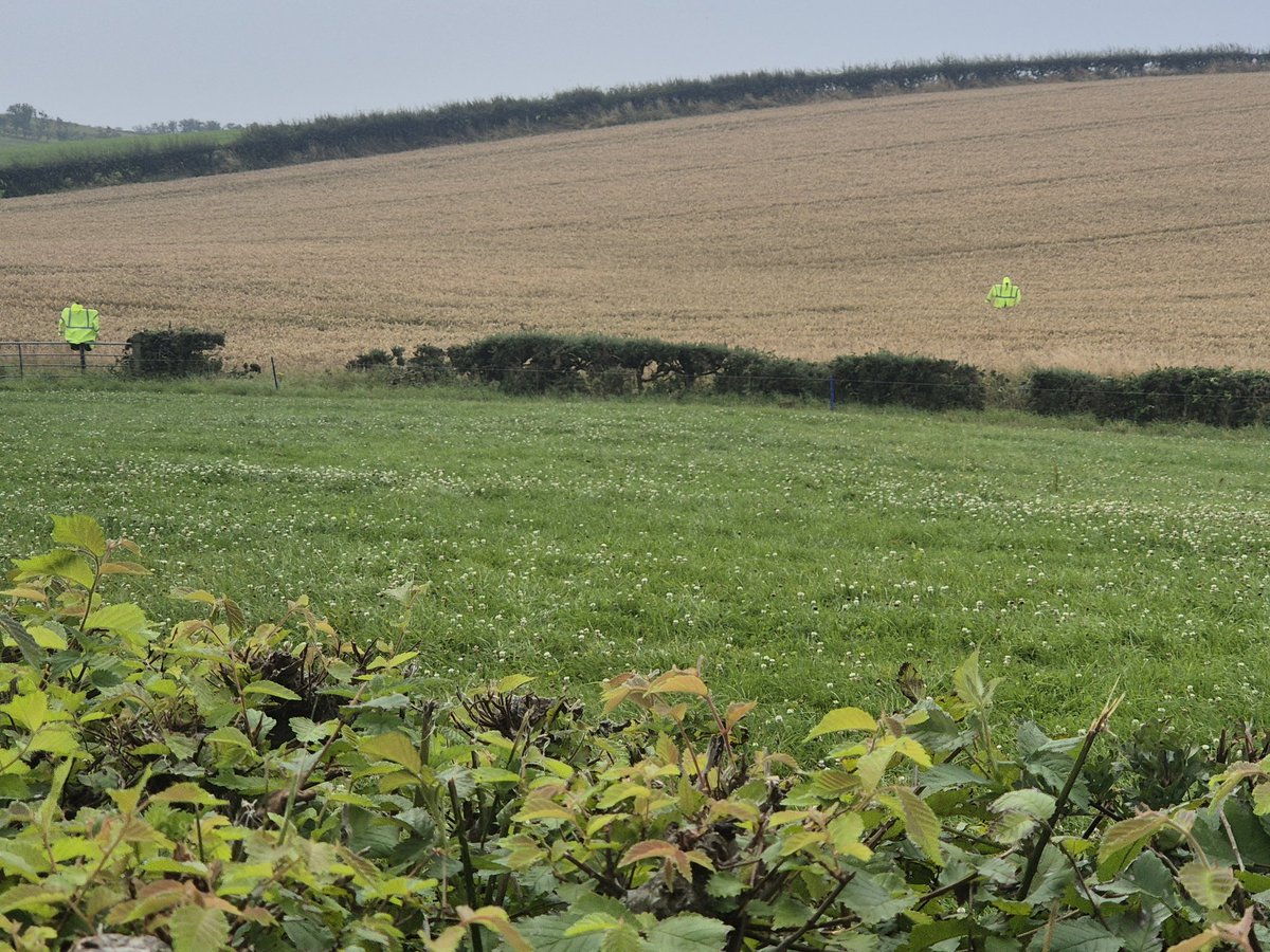 Worzel Gummidge and a mate working away, and not a crow in sight. Proving the old ways still work?