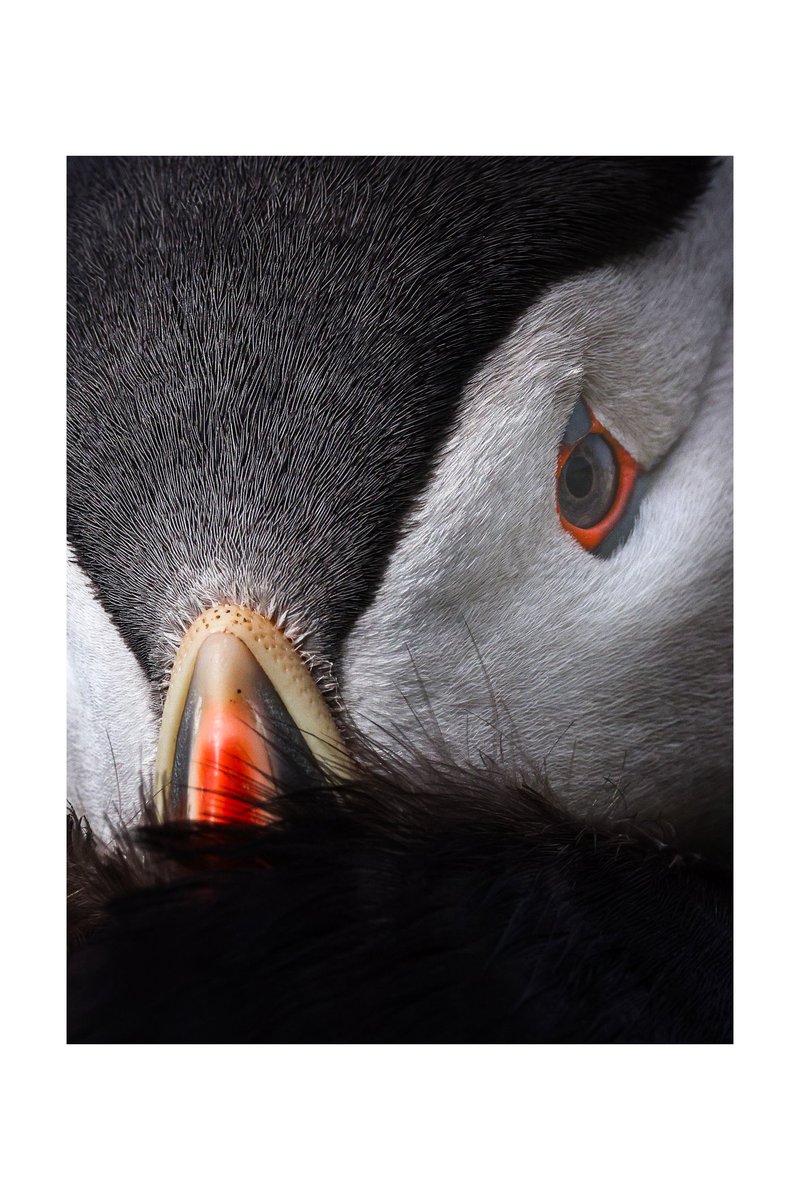 FlavioReber's tweet image. Good Morning.🐧