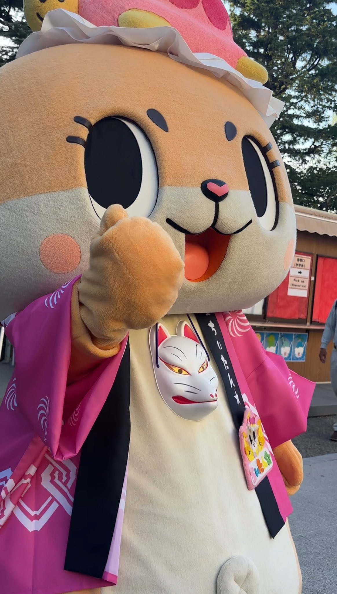 ちいたん ちぃたん☆／Chiitan (@chiitan7407) / X