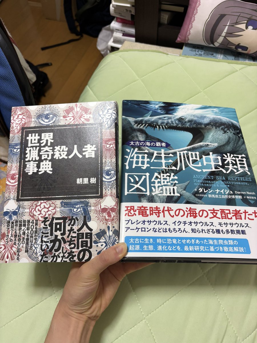 ○20世紀日本怪異文学誌 -ドッペルゲンガー文学考- 山下武 実業之日本社