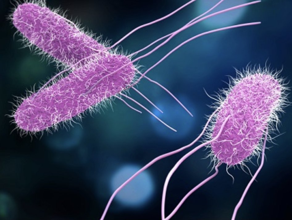 Salmonellosis outbreak in Lviv Region in Ukraine hospitalizes 76
spr.ly/6019fySRl