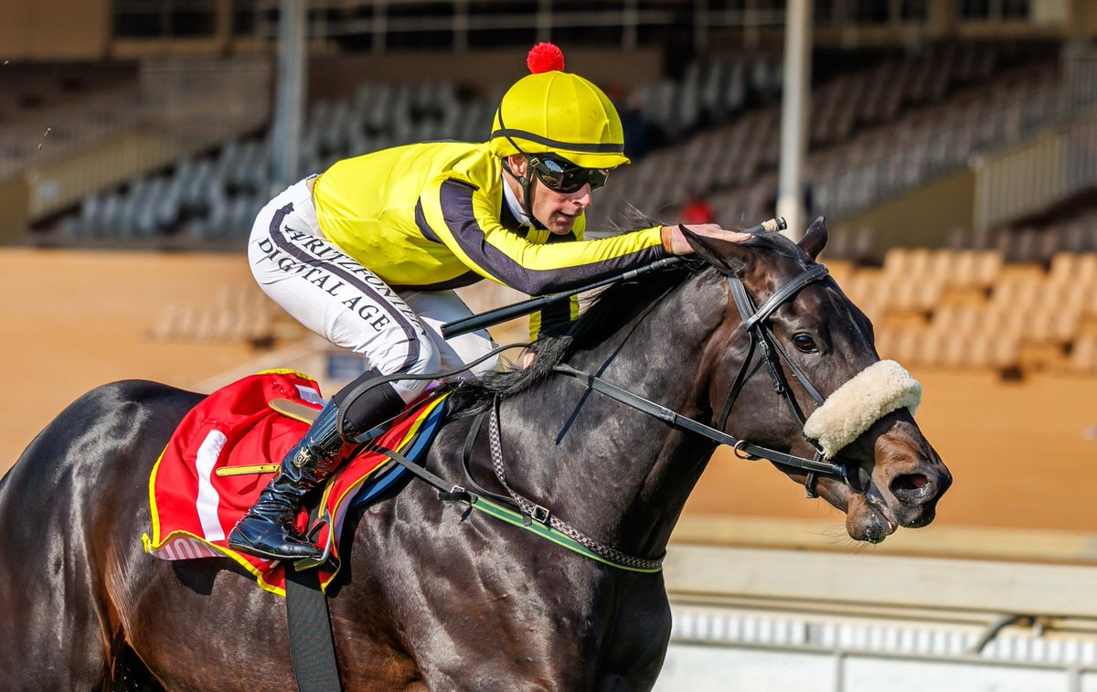 Vercingetorix achieved a double for our yard at Hollywoodbets Scottsville as Tulip Fields, owned by Henk Leyenaar and his two daughters, Daniela and Louisa, won the first race and Gallic Victor, owned by Khaya Stables, took the third—both ridden by Gavin Lerena.