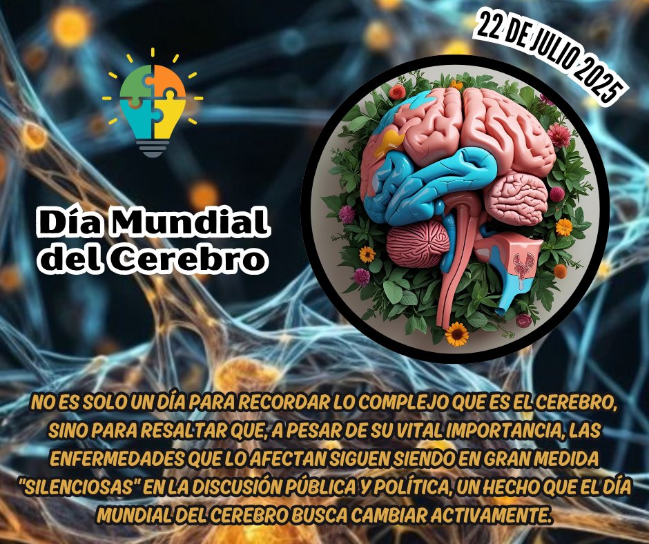 GN_IntelMexico's tweet image. INTERESTING FACT: 🚨We celebrate "World Brain Day," dedicated to those of us who analyze and research daily news to keep the public informed about what's happening in the country. 👏
@Eco1_LVM @Libro_negro_ @natsecboogie @VivoenMarte2 @GNocturnaMX @All_Source_News @aic_07