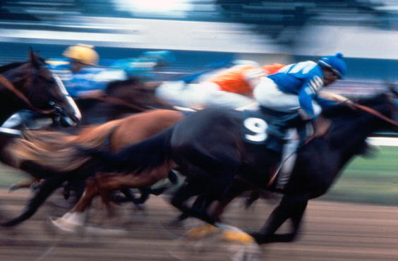 Grayson_JC's tweet image. Today, your support means even more! 🐴🐎🏇
Every dollar donated to @BreedersCup Charities will be matched up to $100K for the Annual Day of Giving!
Donate now: breederscup.com/charities