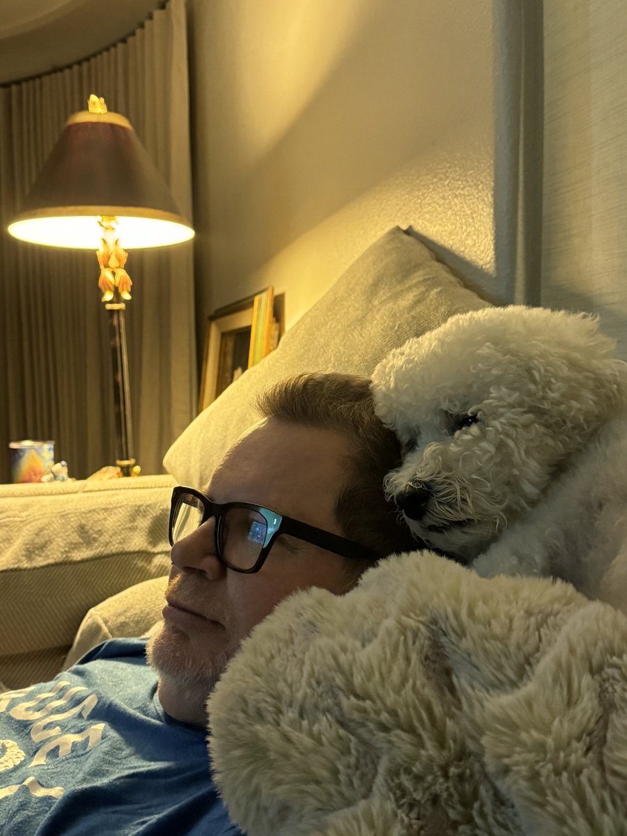 seeksboston26mi's tweet image. I'd shared earlier in the month that we lost one of our twin pups. As I've gone through my stage IV cancer journey, Boo Radley was my comfort dog (shown.) His brother Atticus Finch misses him as we do. Finch is learning to cuddle.