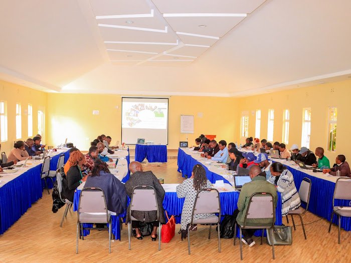 sintila oleku tweet media