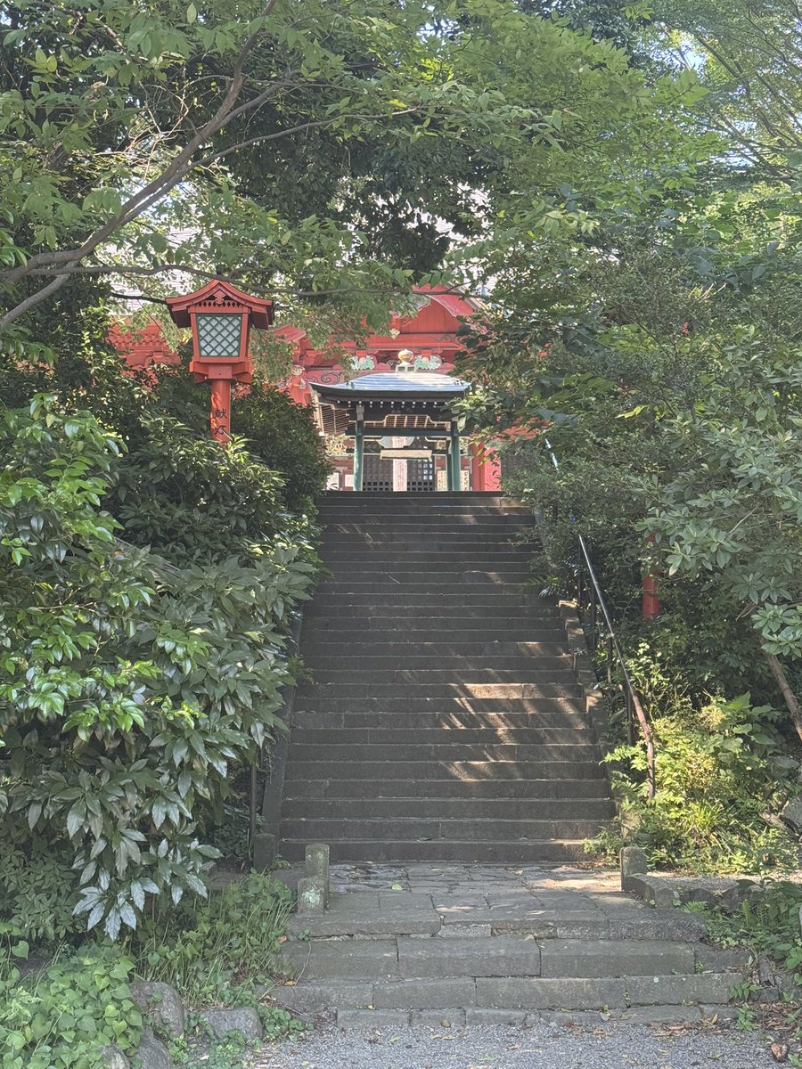 OsamuAoki5's tweet image. 日吉神社　
夏詣