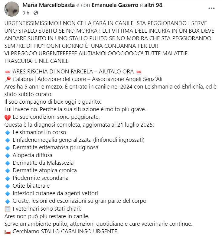 zampa_qua's tweet image. STRAURGENTISSIMO ๐๐๐๐URGE STALLO Mamme ares โ๏ธ3201125203๐"Loro possono raccontare come sia vivere sul cemento" facebook.com/permalink.php?โฆ ARES 5 anni la sua situazione รจ molto grave.Le sue condizioni sono peggiorate.DEVE USCIRE SUBITO O MORIRA' #4voiceless