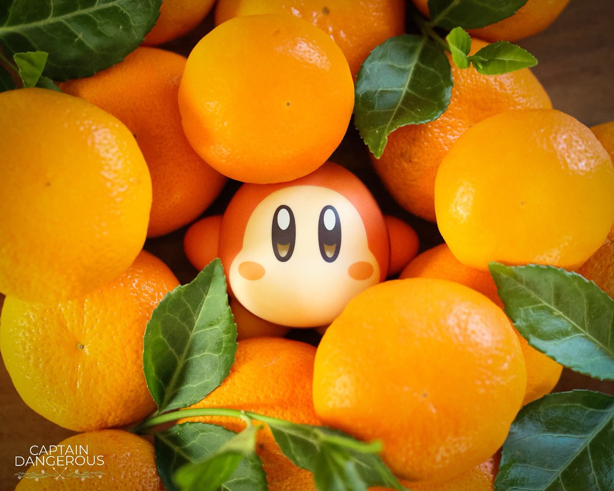 CaptDangerous64's tweet image. Itβs Wednesday my dudes! Waddle Dee Wednesday ππ«Άπ» #kirby