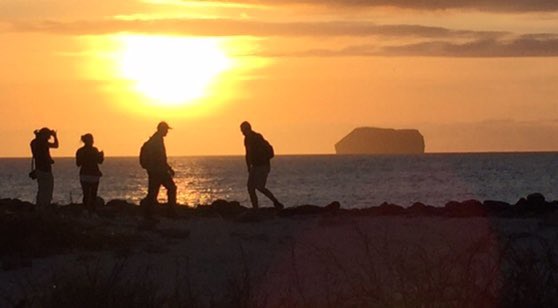 bob reaume ♦️ tweet media