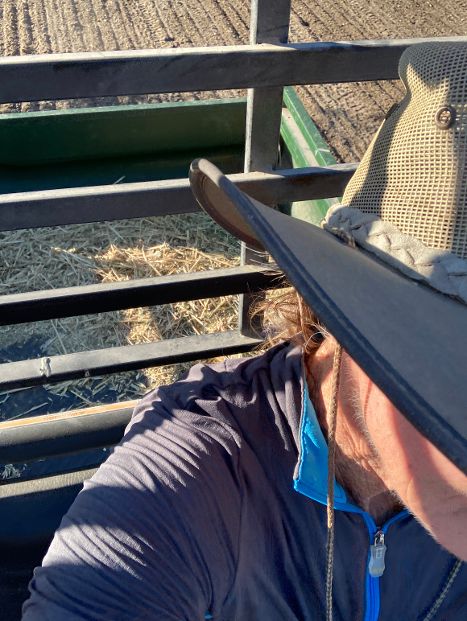 slohn's tweet image. 🐴 Would you rather . . . - mailchi.mp/4f6ca6ffc8d8/w…