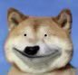 vivaladeadfish's tweet photo. @bane_sol @LockedInLucas FZxYLriicsrdeuqG9orLe552ocoA7VinRN116eFJg8q1 https://t.co/rEEs7k1J3x