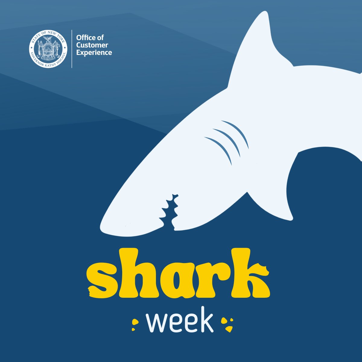 NYSCXO's tweet image. 🦈 It’s #SharkWeek and we’re diving deep into #CX!
Sure, we’re not tracking great whites off Montauk, but we are hunting for things that make government feel choppy: confusing websites, hard-to-find forms, unclear instructions.
🚨 Jump in here: ny.gov/programs/new-y…