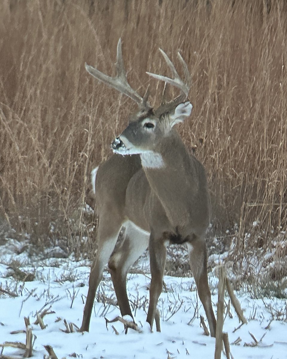 MidwayUSA's tweet image. Shoot or pass?