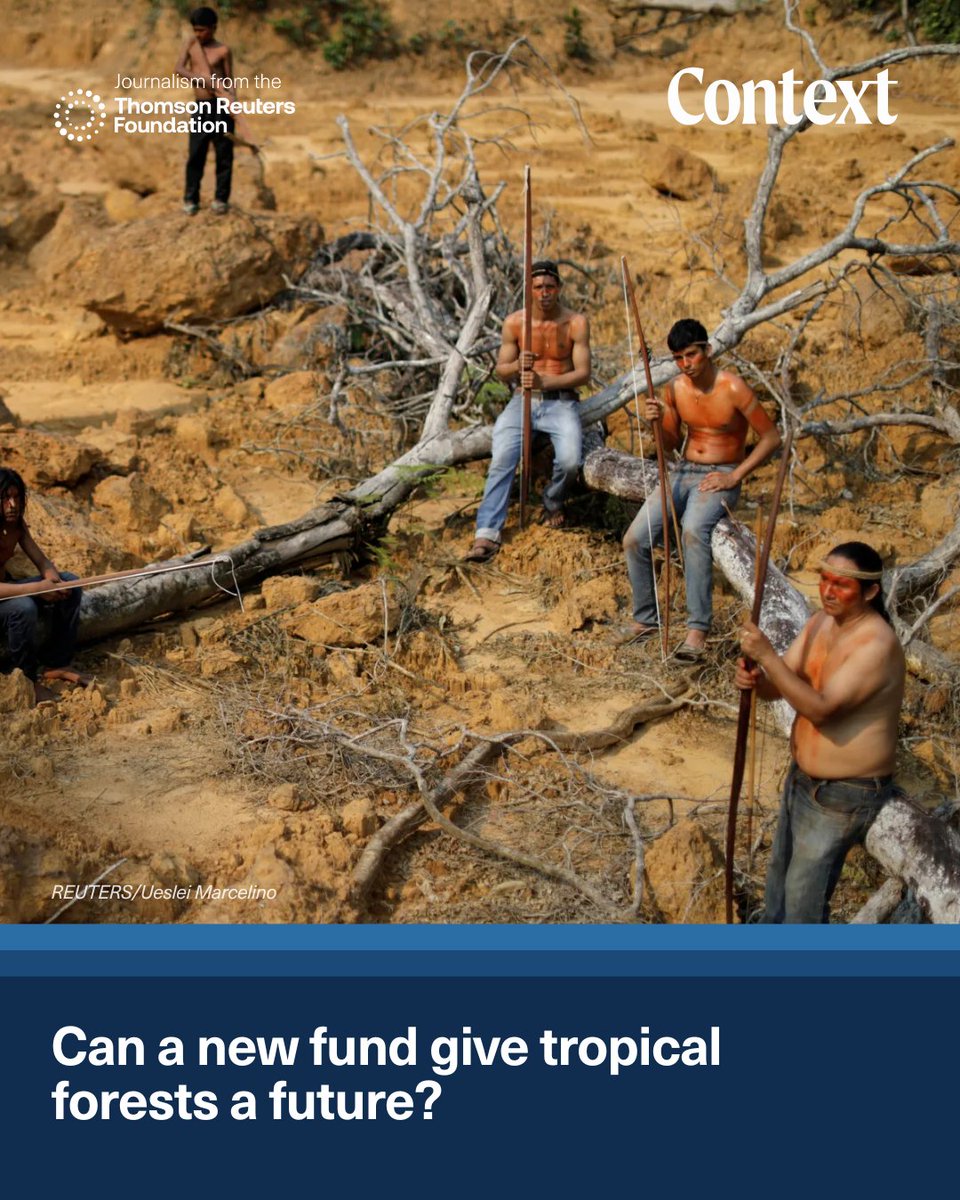 ContextNewsroom's tweet image. In 2023, wildfires faced record tropical forest loss.
As COP30 nears, Brazil proposes the $125B Tropical Forest Forever Facility to protect forests & support local communities. Will it be enough?
✍️ André Cabette Fábio reports
🔗 context.news/nature/can-a-n…