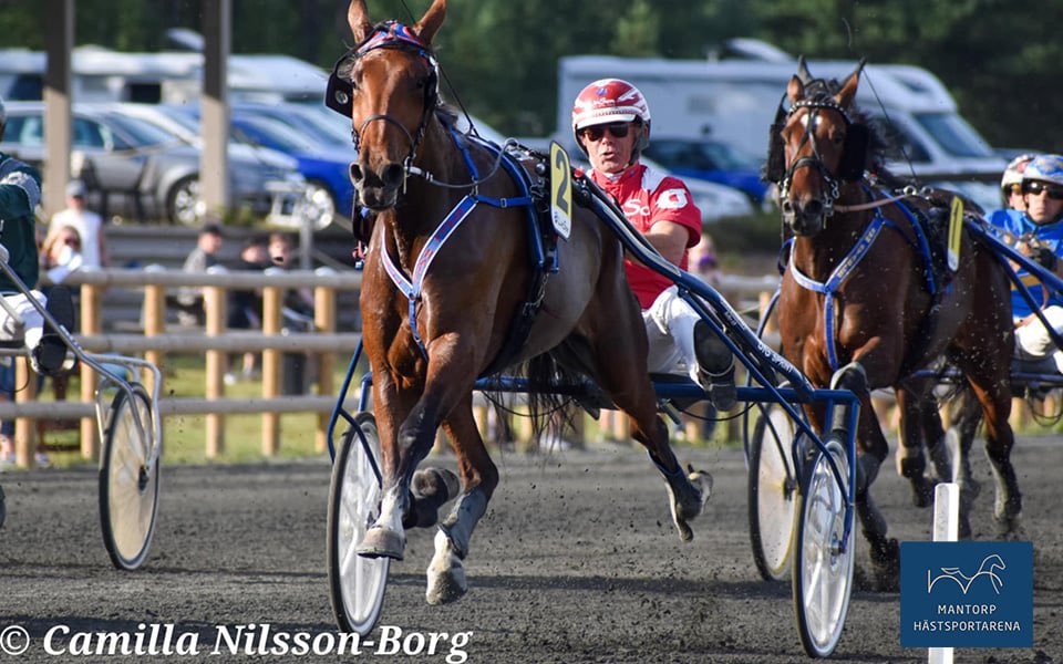 Segrar för Johanna och Karin

Karin Hall och Johanna Lind tog varsin seger i början av veckan. Det blev stora glädjestunder för bägge. För Karins del (bilden) var segern årets första tränartriumf. För Johanna var det en försenad 30-årspresent.
Läs mer på: mantorphastsportarena.se/nyheter/segrar…