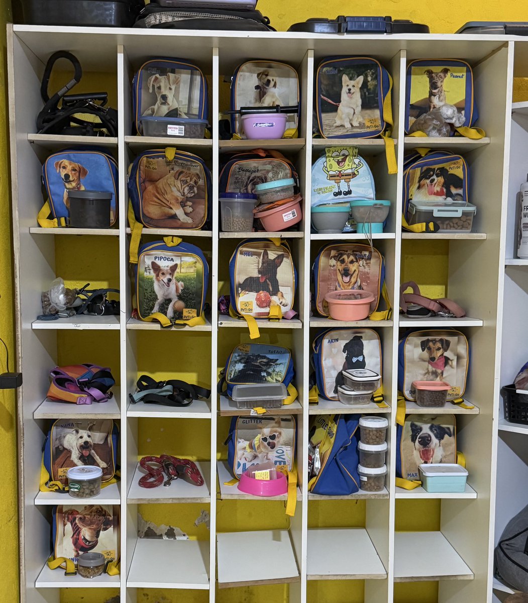 rafaellabd's tweet image. A creche dos cachorros tem um armários pras lancheiras e nada pode ser mais fofo que isso