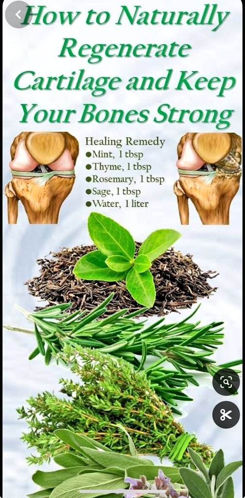 ononoherbals's tweet image. 🚨 How to Naturally Regenerate Cartilage and Keep Your Bones Strong
➡️ Healing Remedy
- Mint, 1 tbsp
- Thyme, 1 tbsp
- Rosemary, 1 tbsp
- Sage, 1 tbsp
- Water, 1 liter
Do this everyday for 3 months to repair damages