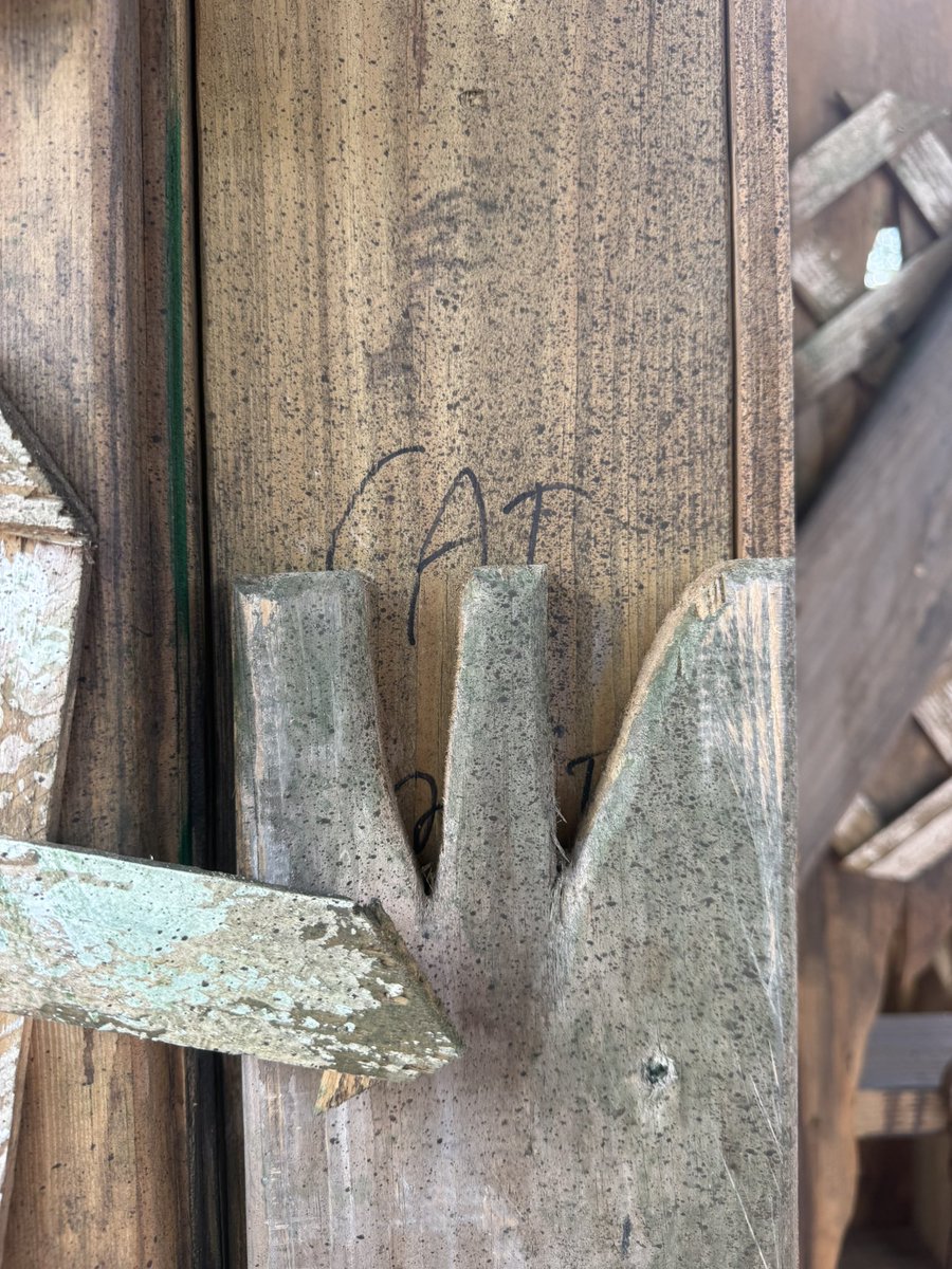 SpeculationMatt's tweet image. If the animal scratches and stained glass designs weren’t enough indication that something feline would be going into Central Park, we noticed this little detail on the wood paneling. #HHN34 #HHN