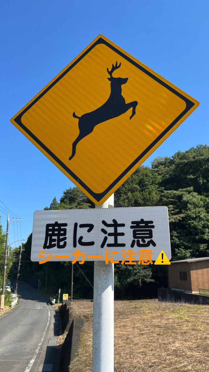 marosea4's tweet photo. 楽しかったぜッ！ https://t.co/cpmxjctf8p