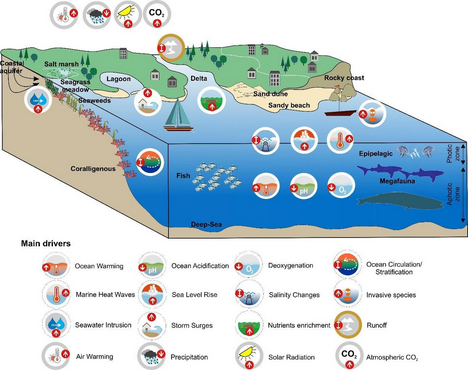 goa_on's tweet image. 📢A new publication by Hassoun and @oa_medhub &quot;Climate change risks on key open marine and coastal Mediterranean ecosystems&quot; assessed drivers of change including acidification, and the impact on key habitats and biological groups.
➡️rdcu.be/ewv1A
