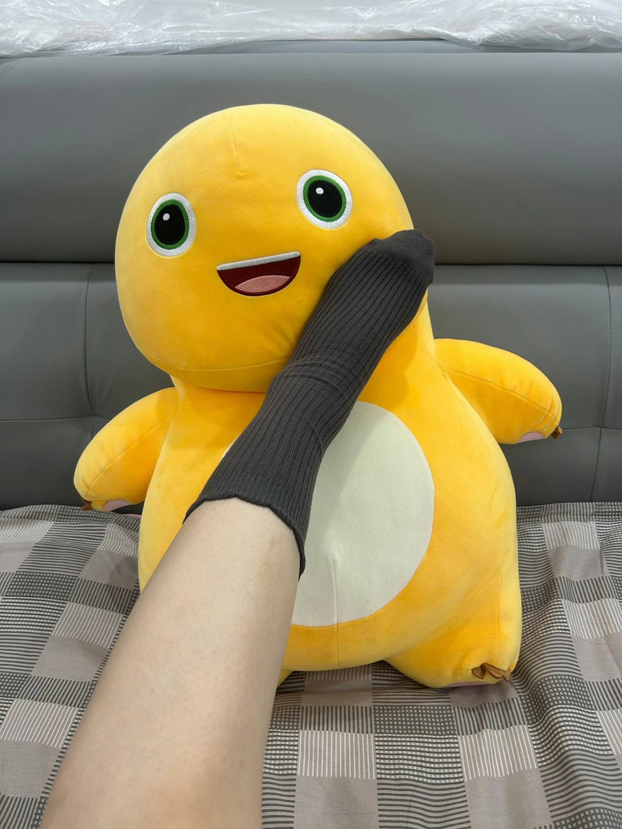 拾月拾壹 tweet media