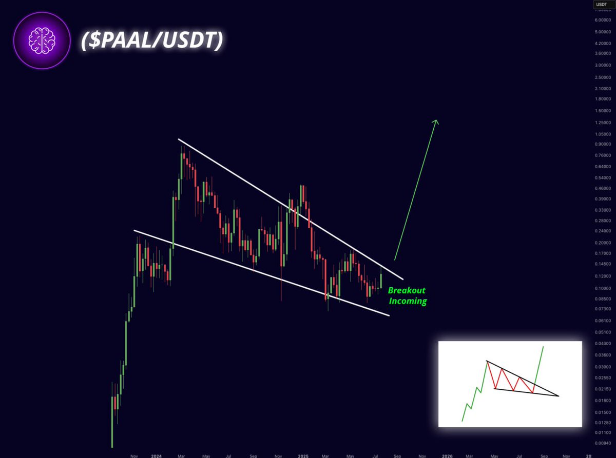 $PAAL is getting ready for a breakout right now.

I’m extremely bullish here.
