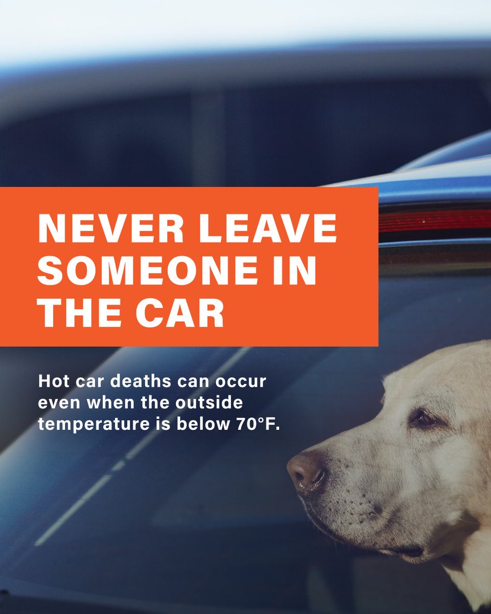 CityofWS's tweet image. Stay cool, Winston-Salem. 🌡️☀️ The forecast shows rising temperatures in the coming week. Swipe for tips on staying safe in the heat!
#winstonsalem #wsnc #wsnclocal #heatsafety #extremeheat