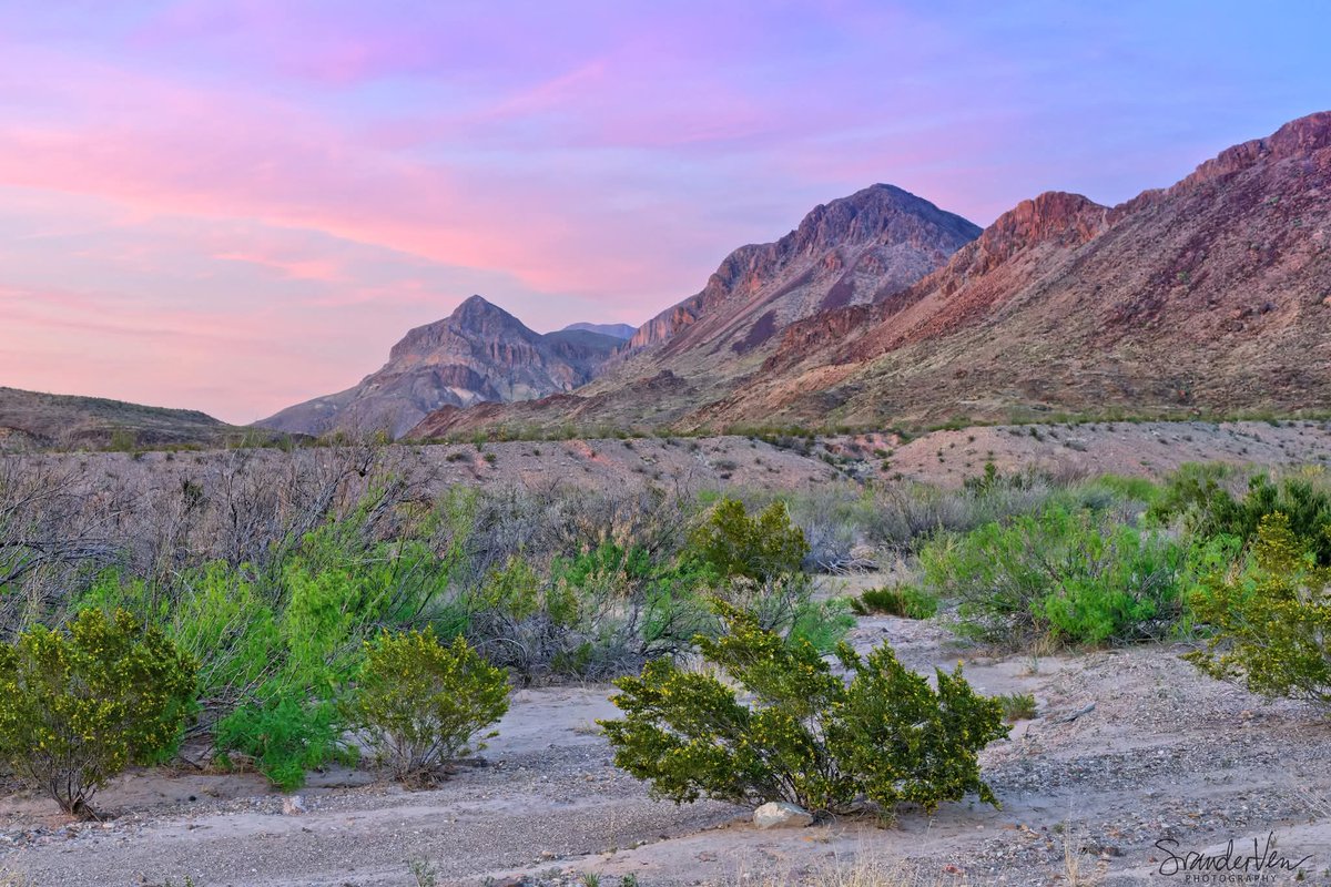 ItakeBirdPics's tweet image. Big Bend National Park in Texas, USA.
03/26/2023 #bigbendnationalpark #bigbend #landscapephotography