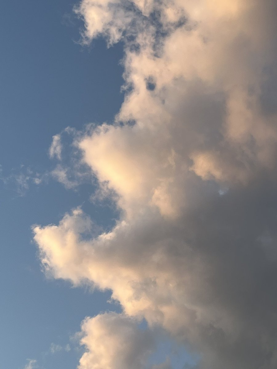 knuckledrragger's tweet image. entirely over the moon from a perfect birthday. gorgeous sunny weather, all of my friends came to see me, cutie boy (and friends!) knocked my gifts out of the park. i could wake up and kiss the earth every morning