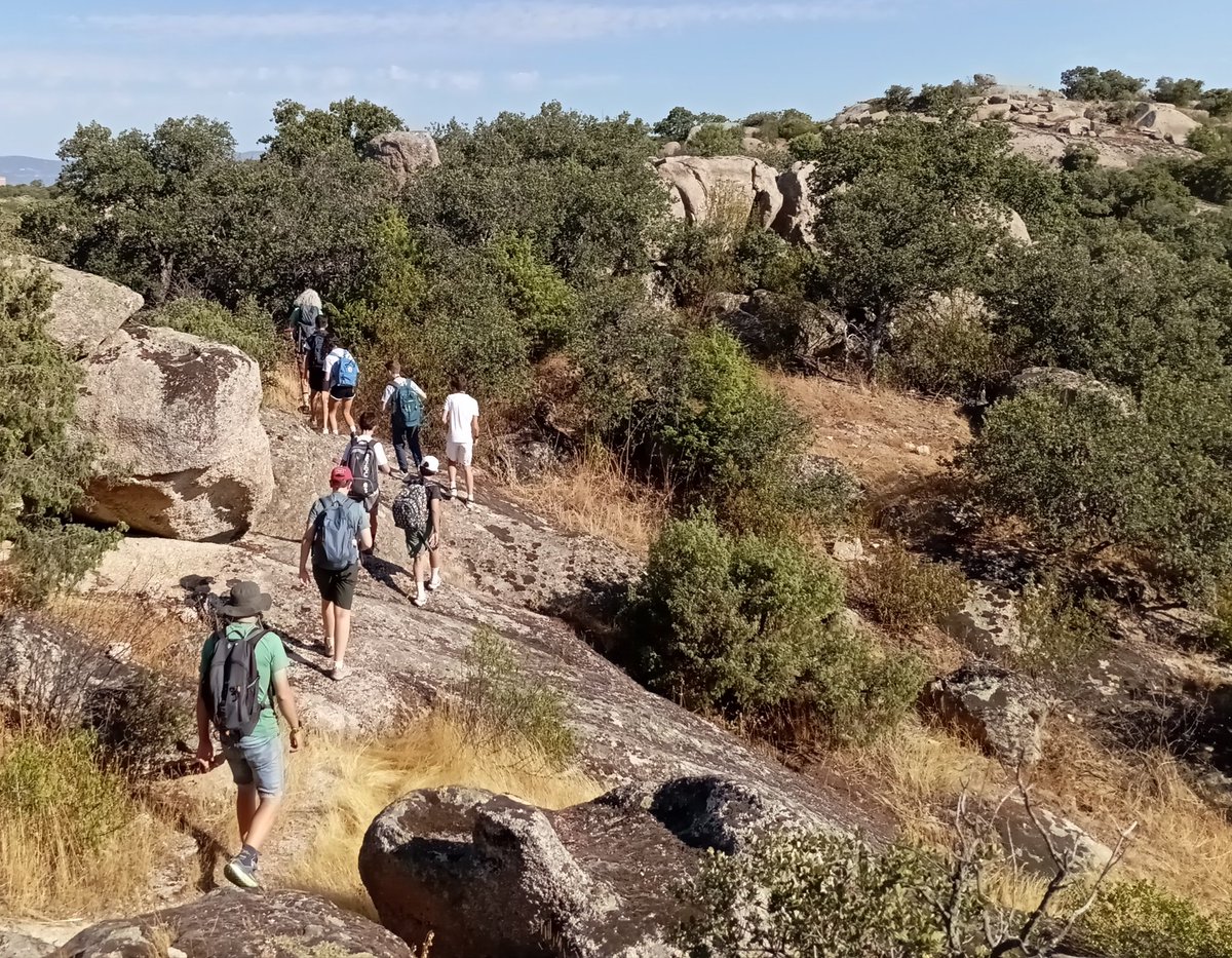 Gran final de curso 2024/2025 y a puntito de darnos un descanso.
Os dejamos más imágenes de la ruta de ayer con el campamento de <a href="/zonajoventorre/">Zona Joven Torreforum</a> de #Torrelodones. Además de aves, no faltaron alcornoques, granito, muros de piedra seca e historias del palacio del Canto del Pico.