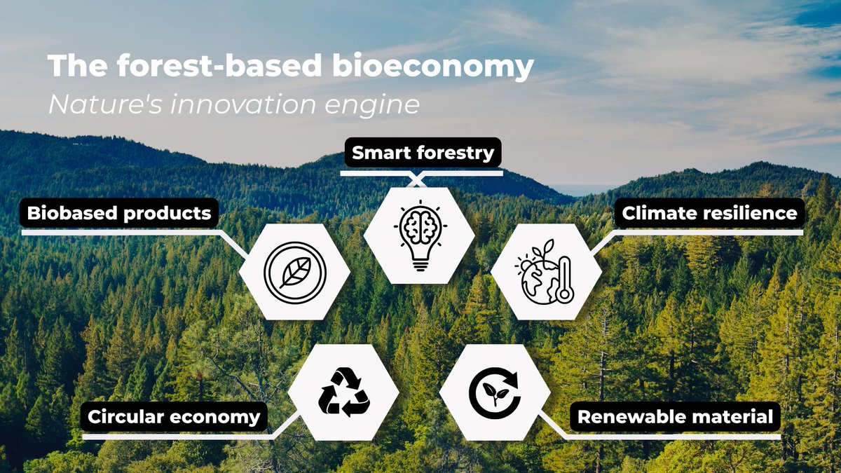 The forest-based bioeconomy is not just a sustainable solution—it’s a hub of cutting-edge innovation. How?

1️⃣ Higher yields🌿
2️⃣ Enhanced fibre 💪
3️⃣ Increased resilience 🌍
4️⃣ Disease resistance🌱
5️⃣ Alternative uses for fibre &amp; waste ♻️

#CircularChoices